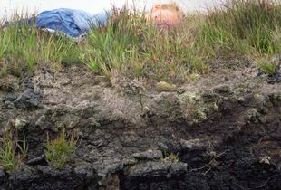 Peat Bog, Achill Island. IRE