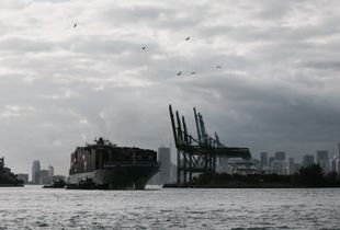 GREY MIAMI