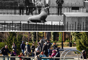 Central Park Zoo 1967 - 2014