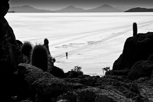 Bolivian Salt Desert