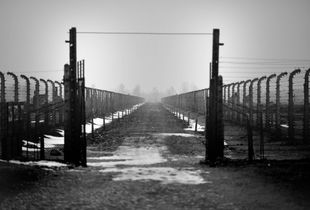 Auschwitz Birkenau