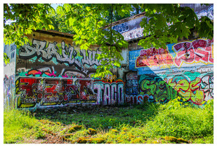 paint under the trees