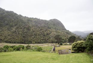 Waitakere