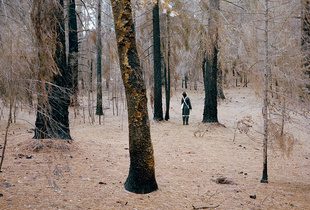 Lance in Bogg Forest