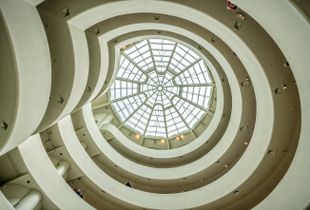 Looking Up