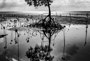 Against The Tide