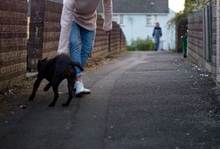 Capel Hill housing estate, Tonyrefail.