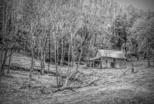 The Old Place