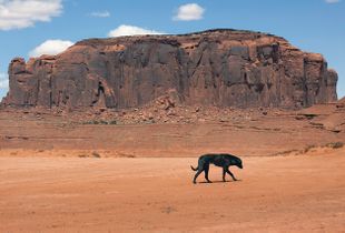 Navajo Nation Monument Valley, Arizona