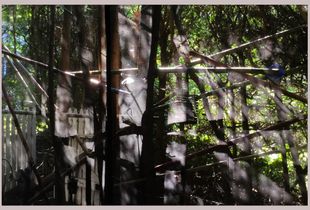 afternoonlight#ottawa#Canada