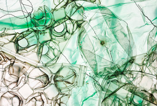Waste 1