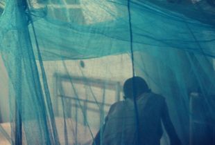 Under The Blue Skies of Agok #1