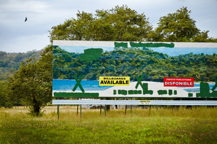 BillboardVulture.2013.jpg