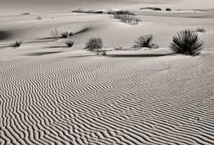 White Sands ripples