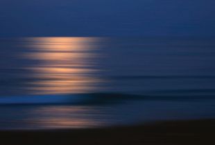 Moonlit
