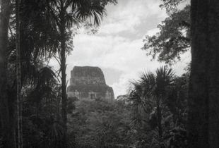 The Lost World