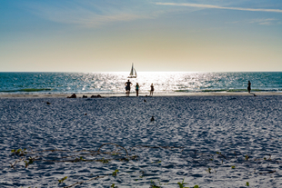 Ocean Sailing