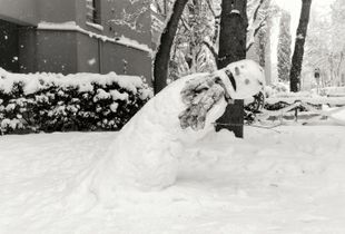 Life of a snowman (2)