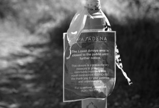 Lower Arroyo Seco, Pasadena, California, May 2020