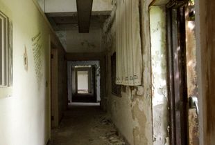 Series: My Brother's Room?