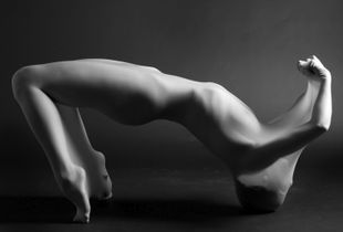 Cocoon Series #7