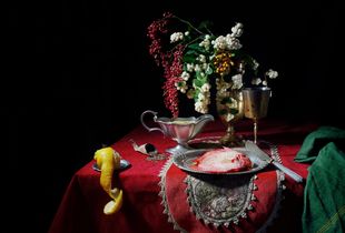 Still life with Discus fish