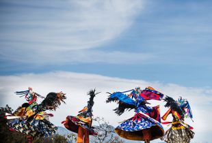 Dochula festival