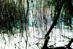 Lake 1