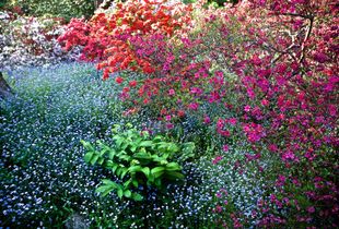 Intimate Life of the garden.