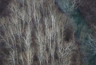 Virginia Aerials [1]