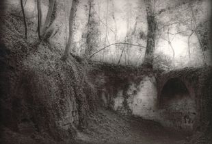 © Guido Paulussen