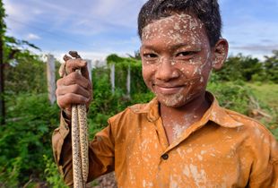Snake Boy