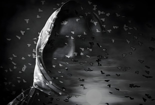 Wings over the moon.