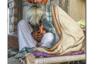 Bishnoi, Rajasthan, India