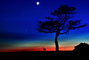 Mother Nature in Maine