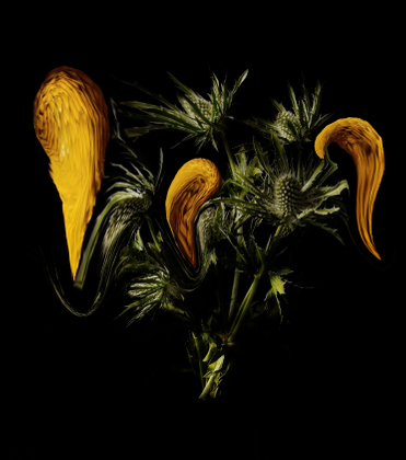 Kurbits II