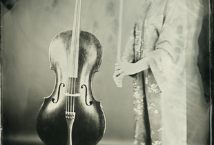 Cello#01 -  Wet Plate Collodion 8x10 -  20 s. exposure  -