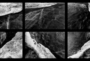 Lakeshore Operations | Dark Series #02