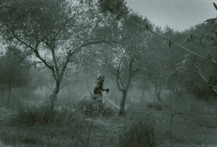 dark alentejo