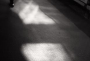 Gentle light of morning sun