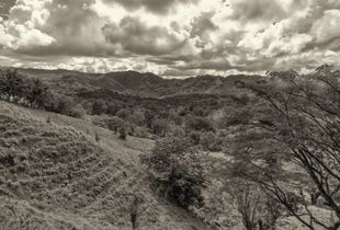 Lush Green Hills Above Joba Arriba