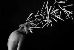 Untitled #1 (series My Nature)