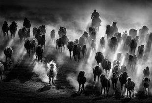 Galloping