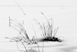 Snow Study; landscape