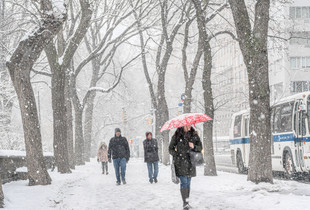 Fifth Avenue Snowfall