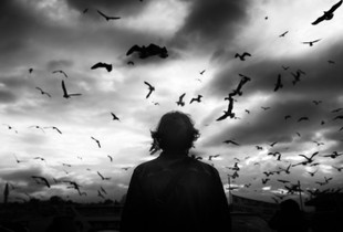 The Omen~