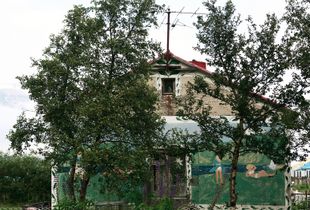 Desolation- Tree house