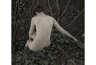 Leaves of grass - A woman waits for me - 2017