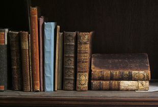 “A Scattering of books, a miscellany of shelves,” 2015