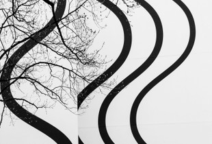Between Lines